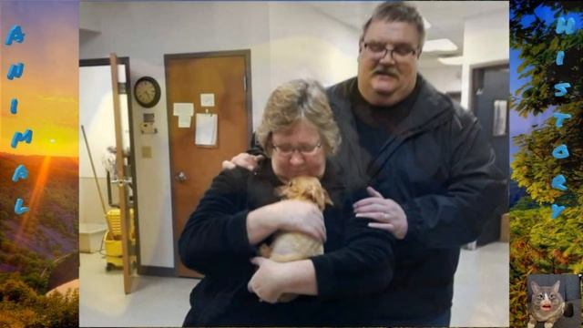 Ему обвязали скотчем морду и скинули с моста