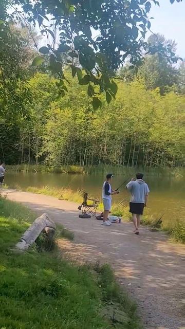 Where is the rainbow trout? I ❤️ rainbow trout fishing Vancouver Canada 🇨🇦 смотреть онлайн