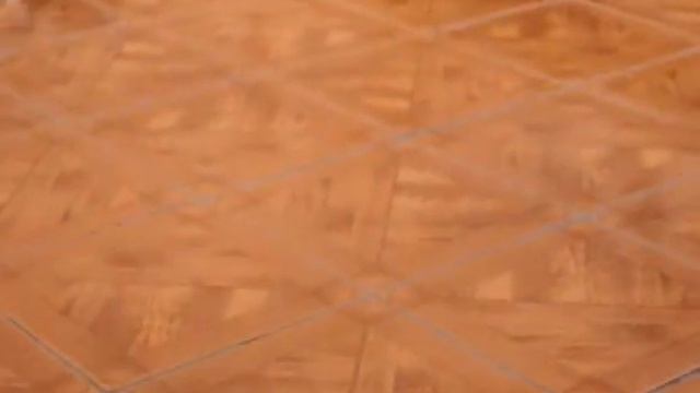 Cachorros labradores hijos de la perlita смотреть онлайн