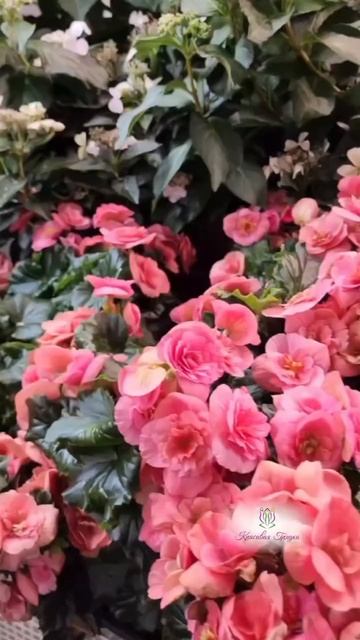 Мы получили еще один приятный нам отзыв🫶🏻 смотреть онлайн