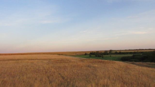 Исчезнувший посёлок Прогресс, Ивантеевский район (Ивантеевское МО).