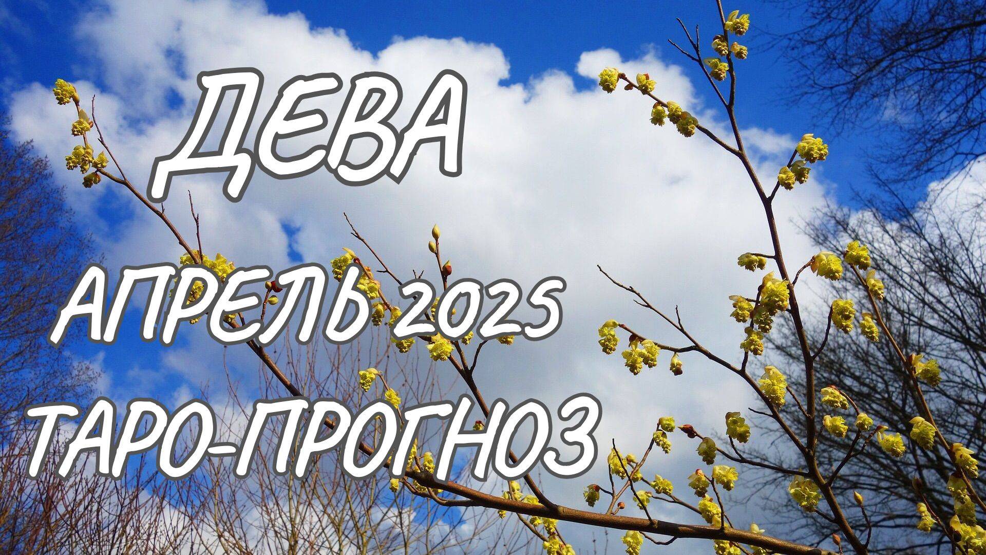 Дева ♍ Таро-прогноз на апрель 2025 года смотреть онлайн