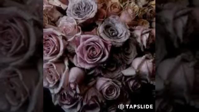 Senseless- Girls Gone Crazy смотреть онлайн