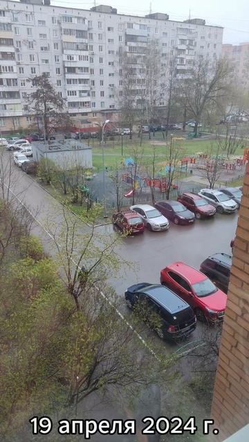 Архивное. Несколько апрельских дней 2024 года. Восток Подмосковья. 15 - 21 апреля 2024 года.