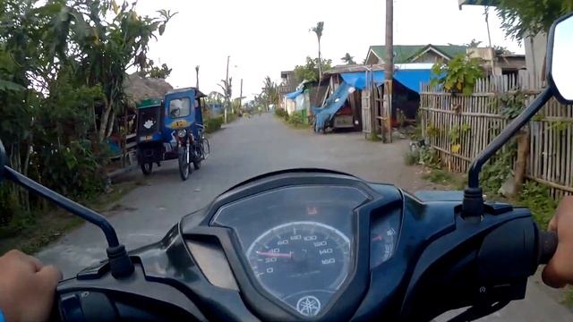 Spraying Nimbecidine and Delta king, Transplanting seedlings[Egg Plant Farming] смотреть онлайн