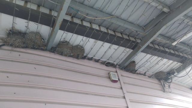 Проблемы с колодцем. Дорога домой. смотреть онлайн