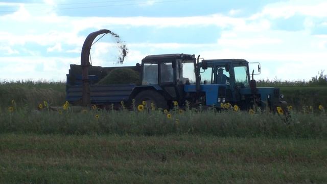 МТЗ 80,82.1, STERH 2000  уборка силоса.