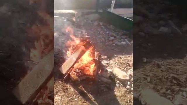 Делаем костёр с друзьями смотреть онлайн