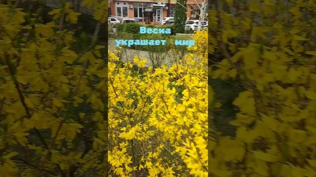 Весна начинает украшать всё вокруг. смотреть онлайн