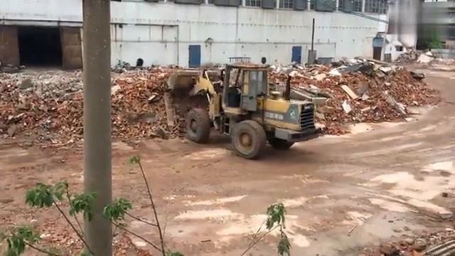 Chinese Hot Sale Wheel Loader Working Site  Contact Whatsapp/Wechat+8615225055776