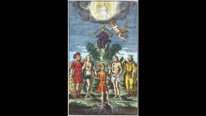 Директные узлы 
вебинар 16_03_2025
автор: Елена Данилова