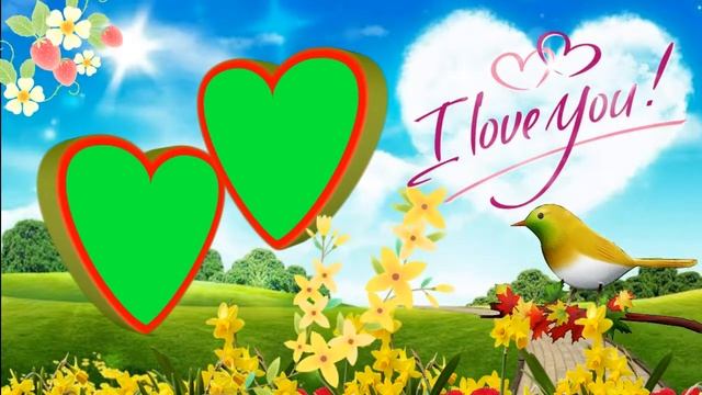 Wedding green screen Mandap effect and sky background screen frame wedding background effect смотреть онлайн