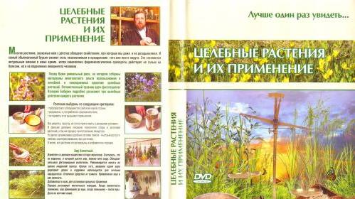Целебные растения и их применение