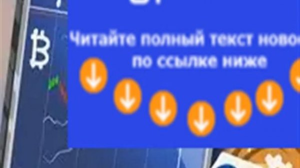 Кто такие «киты» и как они влияют на цену криптовалют?