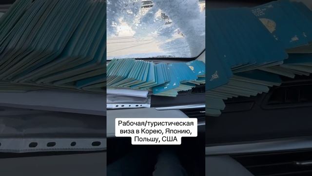 Работа за рубежом/ виза в Корею/ заполнение кеты/ виза в США смотреть онлайн