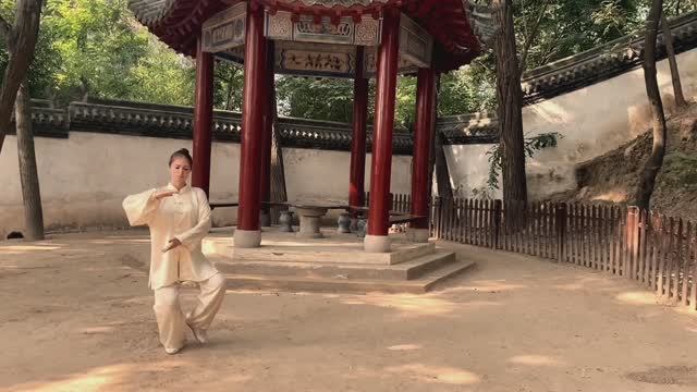 Тайцзи стиль Ян 24 формы смотреть онлайн