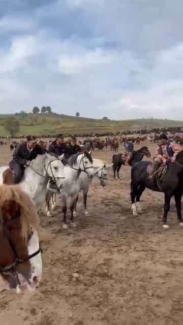 🇹🇯Самый красивый лошадь🐎🏇 в мире.🇰🇿🇰🇬🇺🇿🇮🇶 ТАДЖИКИСТАНЕ. 🇹🇯🇹🇯🇹🇯🇹🇯 смотреть онлайн