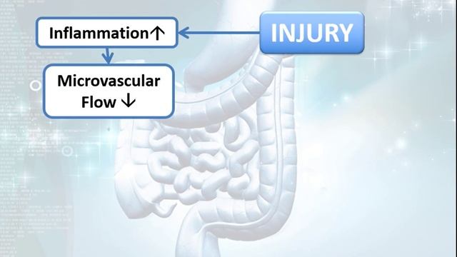 De-resuscitation What, Why, When and How Manu Malbrain 2016 смотреть онлайн