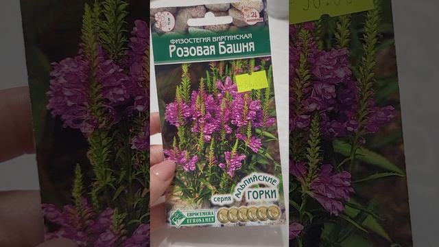 ФИЗОСТЕГИЯ-выращиваю МНОГОЛЕТНИК ИЗ СЕМЯН смотреть онлайн