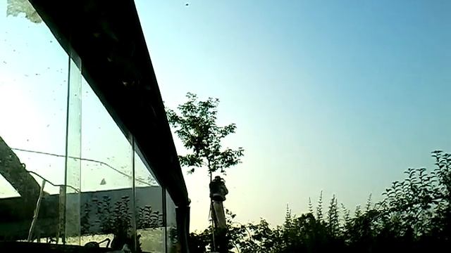 снимаем рой с дерева 3 смотреть онлайн