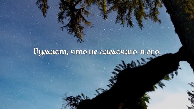 [Король и Шут RUS] Наблюдатель (Cover by Kirio & Misato) смотреть онлайн