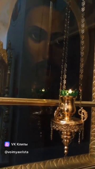 1000014891.mp4 смотреть онлайн