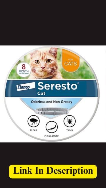 Best Treatment For Cat's Flea and Tick #shortsvideo #ytshorts #shortsviral смотреть онлайн