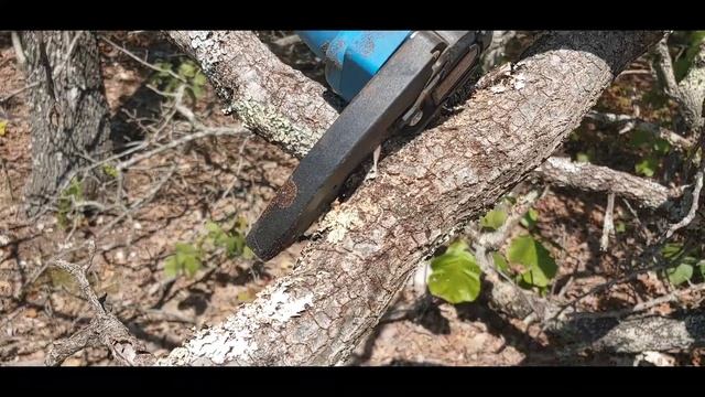 Saker Mini Electric Chainsaw Unboxing and Review смотреть онлайн
