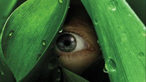 Сериал Река — 1 сезон 6 серия / The River