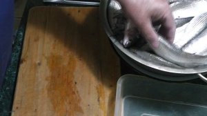 Быстро и просто. Филе из мелкой рыбы.