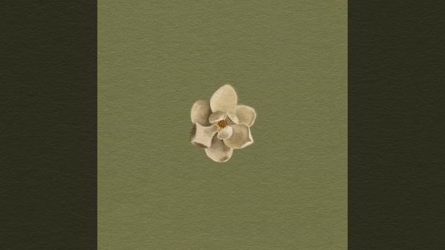 Magnolia Trees смотреть онлайн