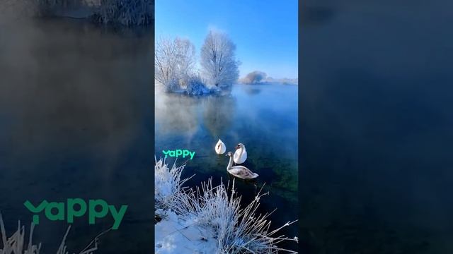Взаимоподписка смотреть онлайн