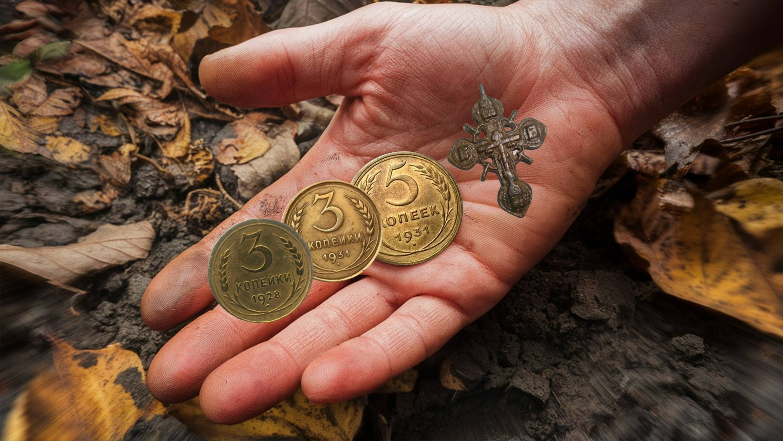 Давно хотел в этот лес... И не зря! смотреть онлайн