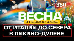 Путешествие по фарфоровой столице. Ликино-Дулево. Весна в Подмосковье. Дарья Ягода