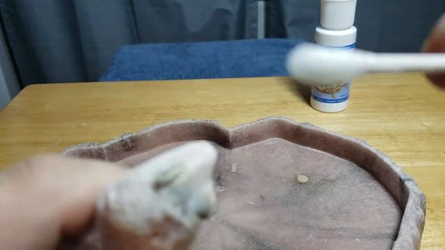Blind Leopard Gecko Opens Her Eyes On Camera!! (Eye Care) смотреть онлайн