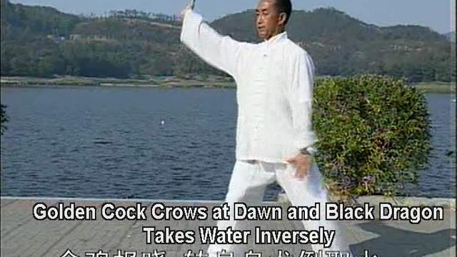 Цзашичуй (удары смешанных форм) и синъи ба ши (8 форм). Синъи цюань линии мастера Ша Гочжена