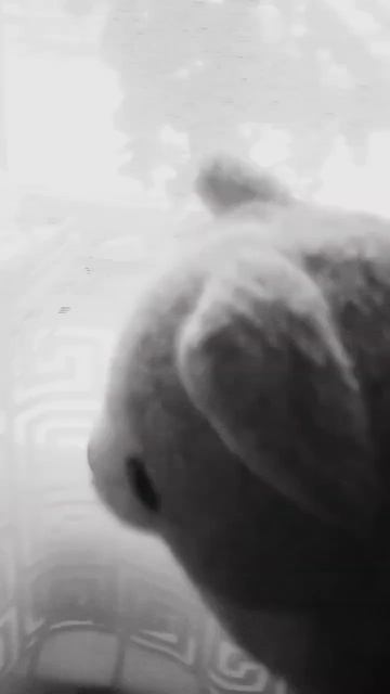 #подпишись #рекомендации #shortsvideo #пончик розовый гусь смотреть онлайн