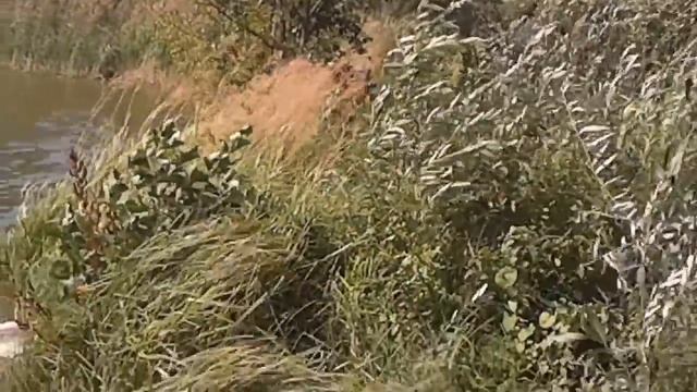 река и шум ветра смотреть онлайн