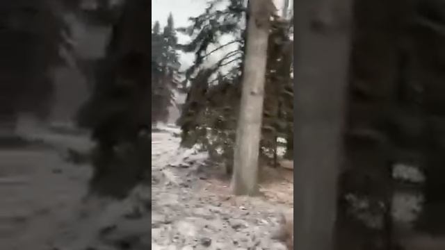 Мэр Липецка Уваркина ругается матом смотреть онлайн