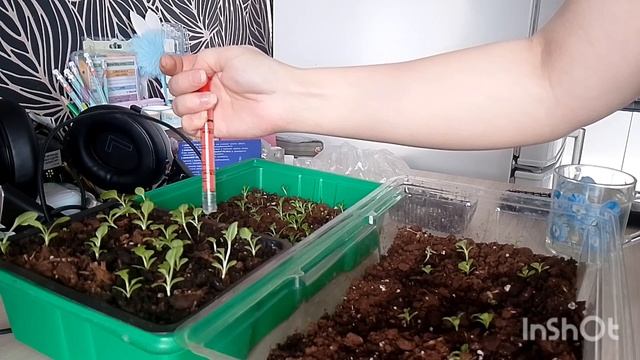 16.03.2025 смотреть онлайн