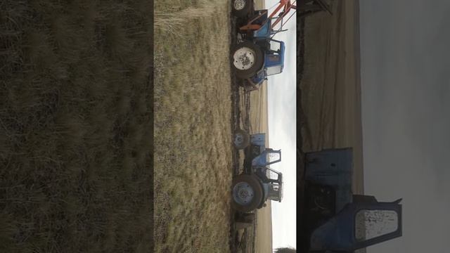 Мтз с пвм т40 буксует смотреть онлайн