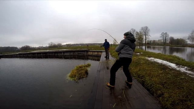 Мега рыбалка в ЗАО "Гжелка" | Ловля форели и щуки смотреть онлайн