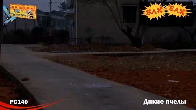 РС140: Дикие пчелы смотреть онлайн