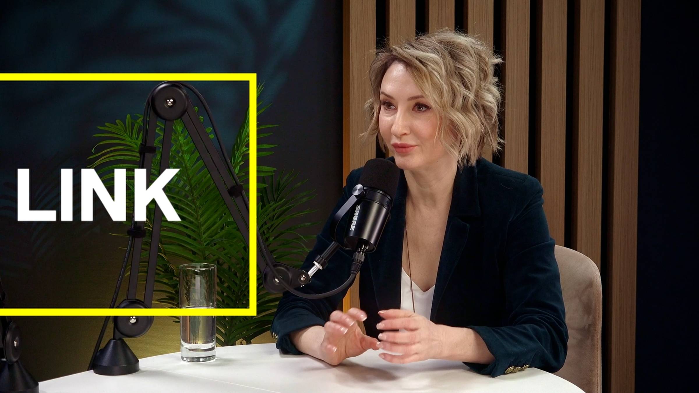 Подкаст LINK. Гость Татьяна Александрова - Лидер клуба Legal Well-Being клуба Link