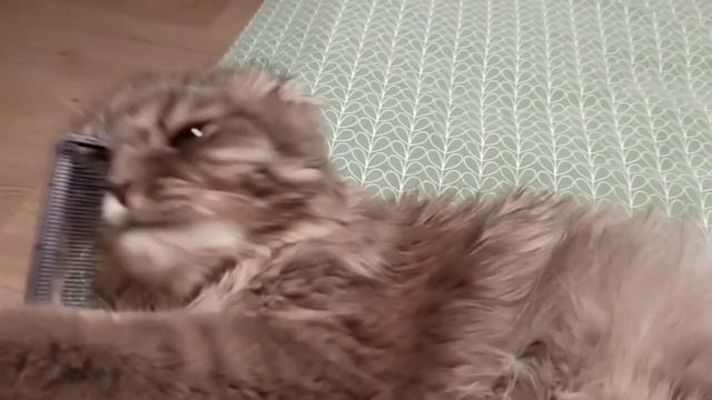 Провожаем батю на базар. смотреть онлайн