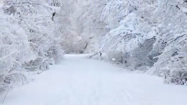 Немного страшная песня смотреть онлайн