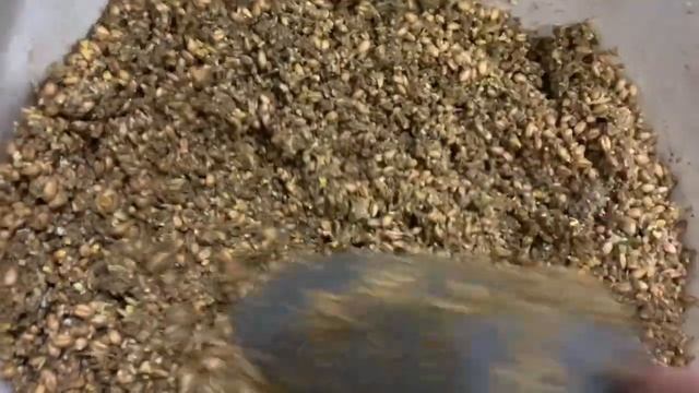 2 день инкубации РЯБА 36 ( китайский инкубатор) квочка сидит_ ВЕШАЕМ СЕТКУ ОТ ХИЩНЫХ ПТИЦ_ 09,03,25г смотреть онлайн