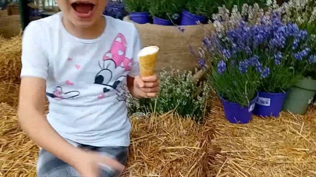 io al viridea che mangio il gelato nuovo arredamento #art #animation #funny #cute смотреть онлайн