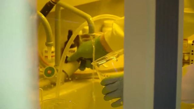 День открытых дверей ИНЭП ЮФУ (магистратура) смотреть онлайн