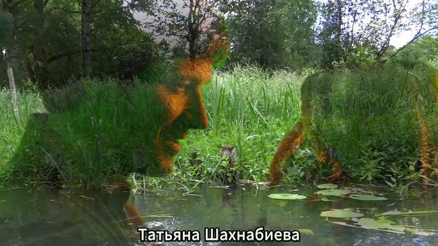 Мне сегодня приснился сон ... смотреть онлайн